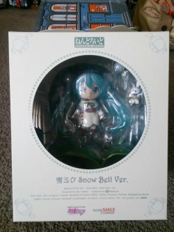 kinokashi:  My new nendoroid arrived wooo