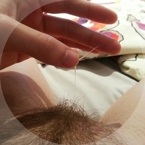 prissydicks:  Trimmed and currently unable to satisfy