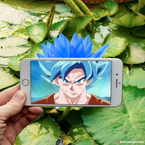 fuhrercraig:  kidslutti-:  ramenuzumaki:Amazing DBZ pictures by Francois Dourlen | Source: 1•2  Oh my god  Wow