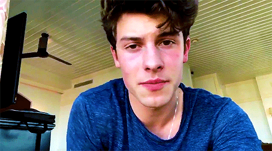 mendes-shawn:x