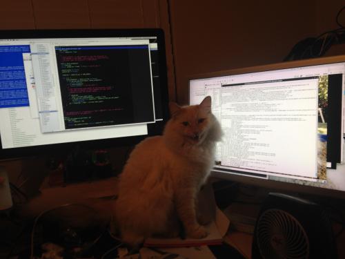 whereshadowsmakeshadows:Tumblr lead software engineer