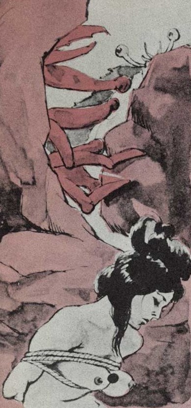 sowhatifiliveinjapan:  裏窓 (1963年10月)