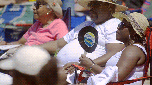 jcoleknowsbest:  npr:  nprmusic:  The 2013 Newport Jazz Festival In GIFs (by Adam Kissick for NPR)  It’s like we’re really there! Gifs!  5th gif… get it black folks..