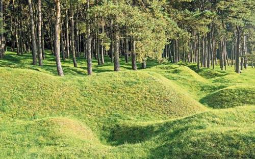 Porn Pics honeynuttkrunch:WW1 trenches, France