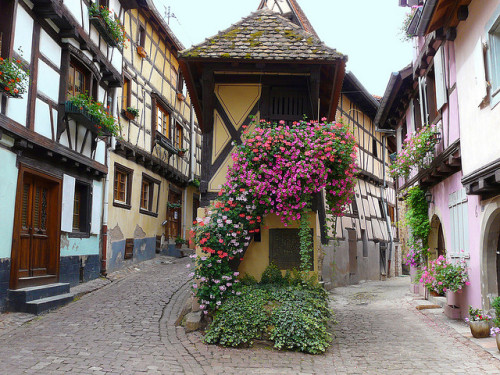 Lovely streets of Eguisheim in Alsace, France (by duqueıros).