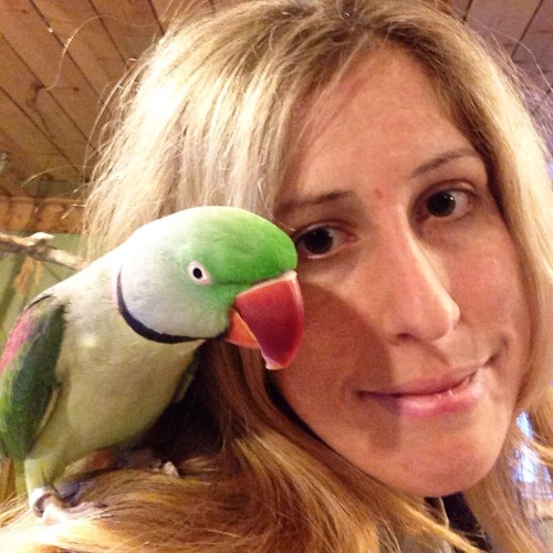 One of my favorite birds in the world!