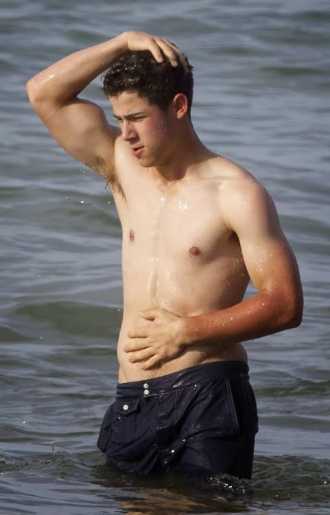 whinyjake:  Nick Jonas armpit/arms appreciation post unf