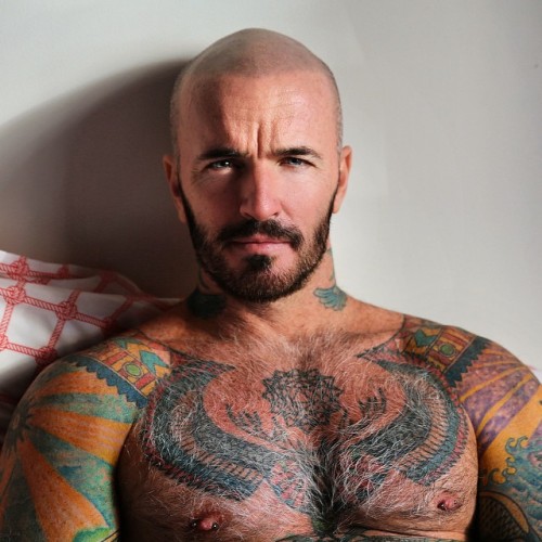 arianlevanael:  Sitting around again. But cozy in bed! 