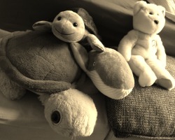 lilliesforyou:  my beautiful little stuffies