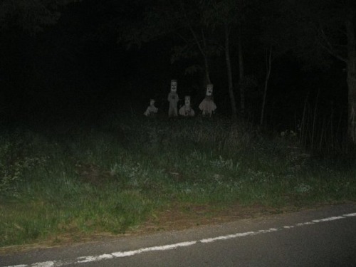 spookymrsboo:From r/creepy: “I was driving down a woodsy back road in the mountains when I saw somet