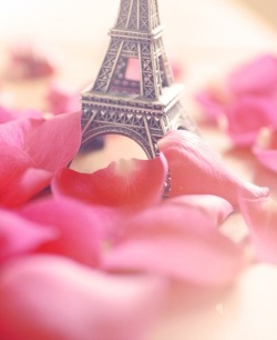 audreylovesparis:  pretty in pink