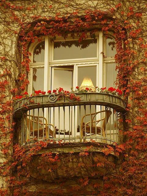 uhlissa-sovereignty:  Lovely Balcony on We Heart Ithttp://weheartit.com/entry/74948868/via/dhaveena05 