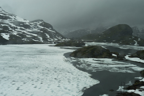 expressions-of-nature:  Rivers by Sara Spinelli