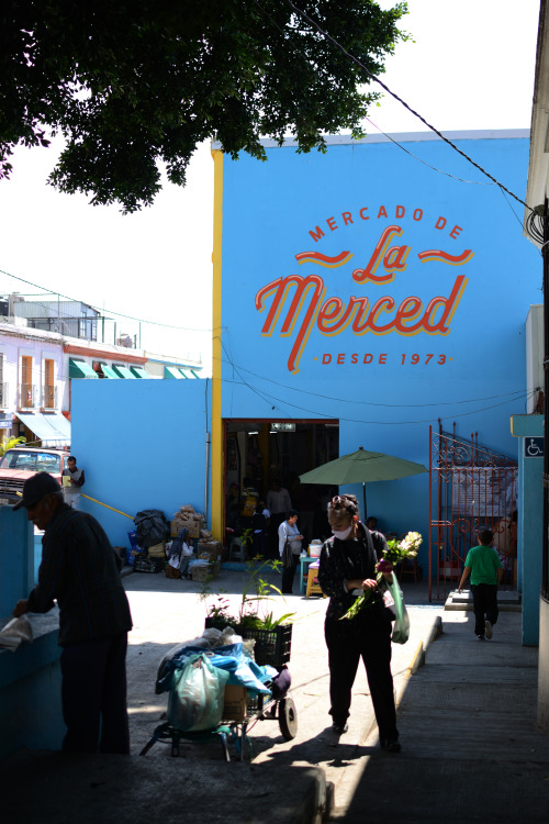 Mercado de la MercedOaxaca, Oaxaca, Mexico, March 2016.© 2016 Giulia Caleca. All rights reserved.