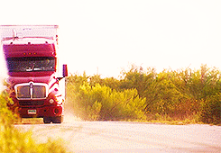 mother-gaga:  Gaga in Machete Kills. [4/4] 