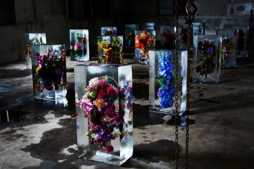 Japanese artist Azuma Makoto 東信“ICED FLOWERS”とは、花々を氷で包み込み、その中で刻まれていく命の変化を鑑賞する作品です。氷の中に存在することによって引き立て