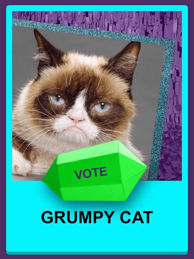 No life? #VoteGrumpyCat Favorite Animal at the Nickelodeon Australia Kids Choice Awards! https://t.co/bJcEaT7wcQ #KCA