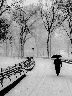greeneyes55:  Central Park New York Photo:
