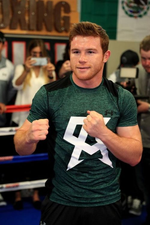 boredirish: Canelo Alvarez… my new favourite red head #caneloalvarez #redhead #ginger #bear 