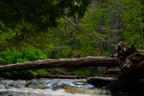sad-khakis:Spent a week up in the Upper Peninsula with the family.