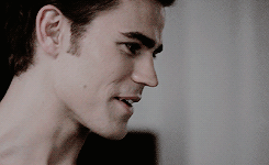 aprilkepners-archive:  TOP 25 TV SHIPS (as voted by my followers)24. Stefan and