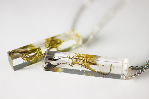 Brand new moss necklaces up in my shop today! I’ll have a fancy little picture later but here’s a pr