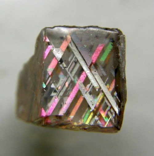 bijoux-et-mineraux:Rainbow Lattice Sunstone - AustraliaOrthoclase feldspar with hematite inclusions