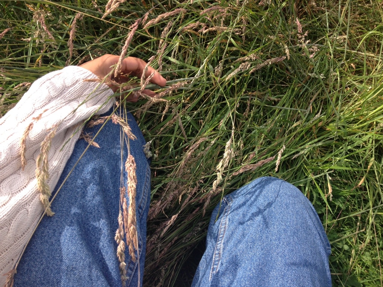 treesenpai:  the wild grass was very tall like me so we connected 