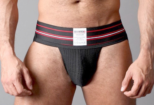Dedicated Follower of Bulges