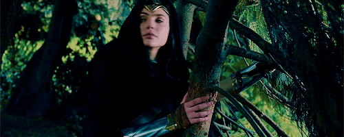 dailydceu:  Wonder Woman (2017)   I think you will like seeing this movie when it