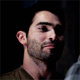 stereksecretsanta:Merry Christmas, nevertrustawildfox! I wish you the best of luck, be happy and don