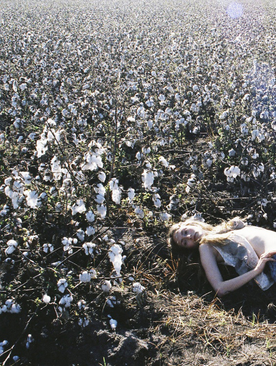 bienenkiste:  Ph. Lina Scheynius 