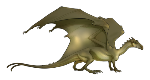 gghhh back to drawin pern dragons i guess
