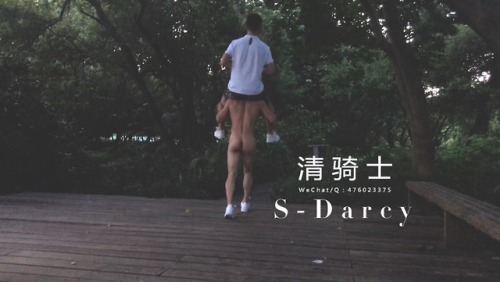 s-darcy7:从午后到黄昏，骑马代步，享受郊游的乐趣。