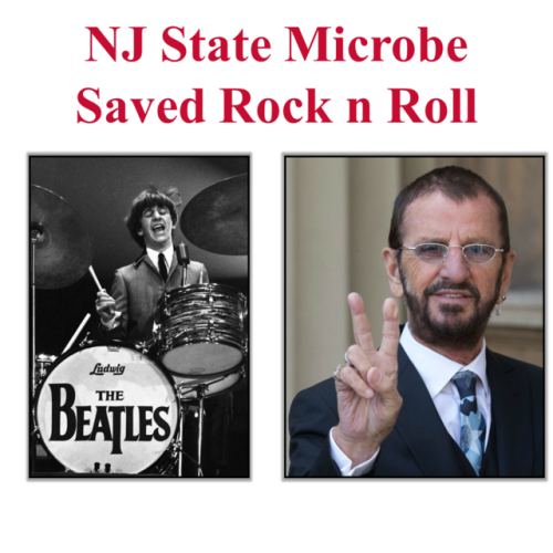 New Jersey State Microbe Saved Rock n RollBefore Ringo Starr was the drummer for The Beatles, he was