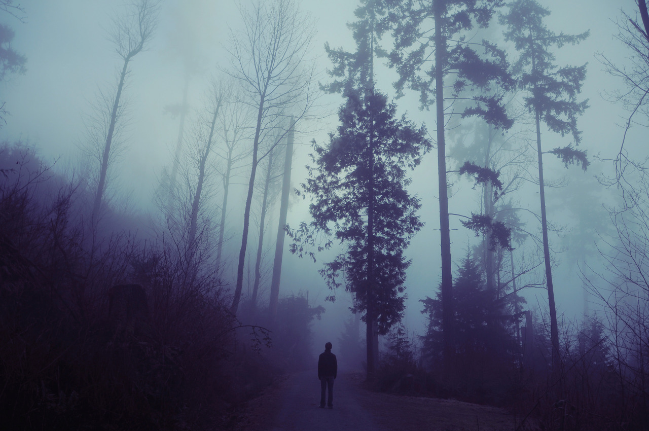 Slender man should be around here somewhere
