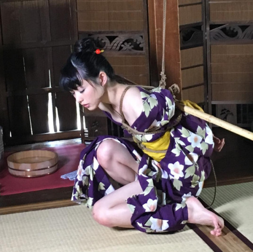 thevertigonetwork: Kinbaku Kinoko HajimeModel Aika Yoshioka