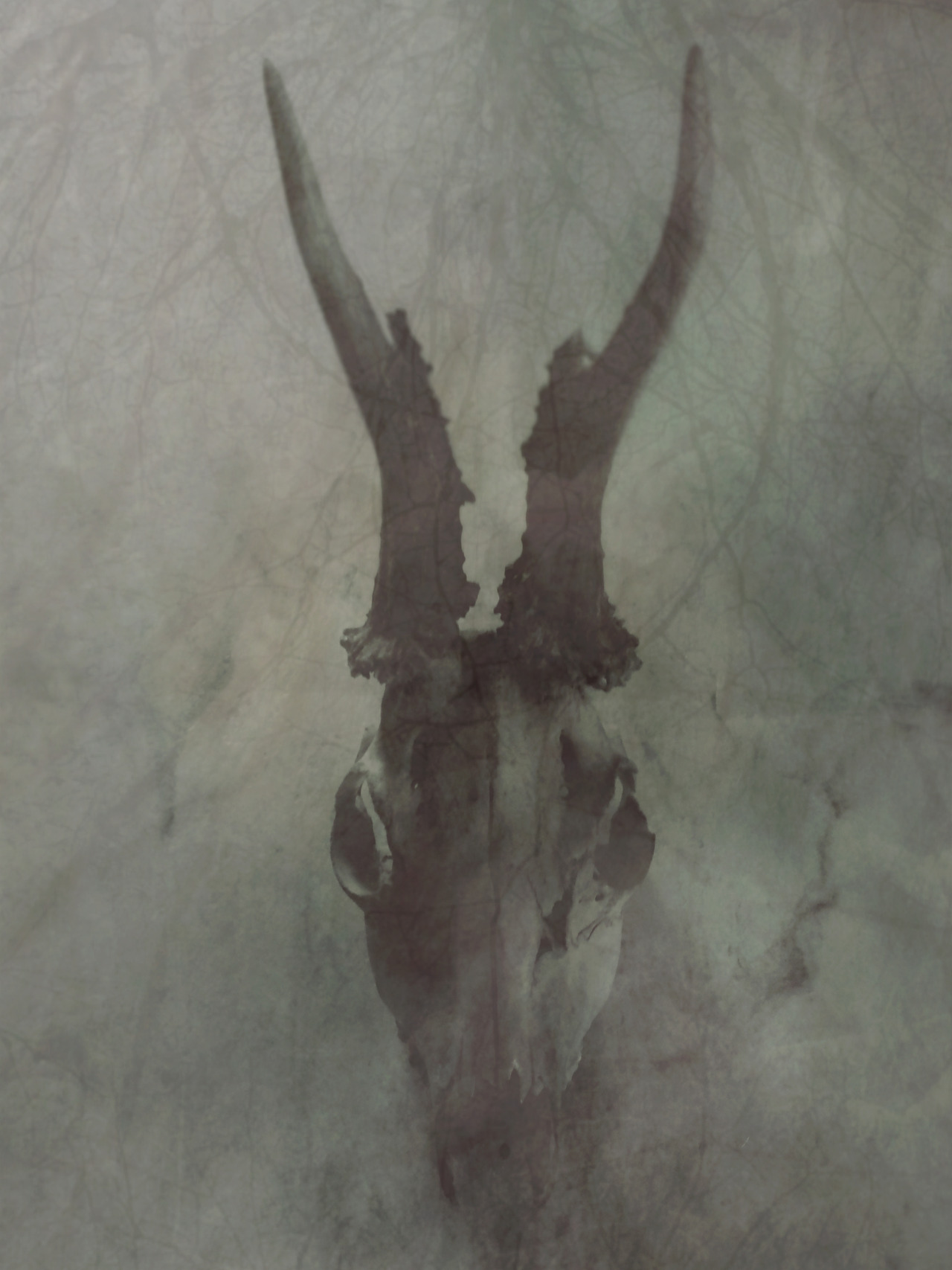 heathenharnow:  Heathen Harnow: “When I saw myself in the fog” On the 25th of