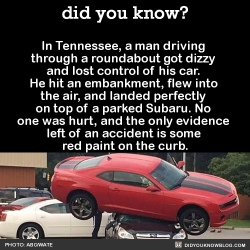 did-you-kno:  In Tennessee, a man driving through a roundabout got dizzy and lost control of his car. He hit an embankment, flew into the air, and landed perfectly on top of a parked Subaru.  Source