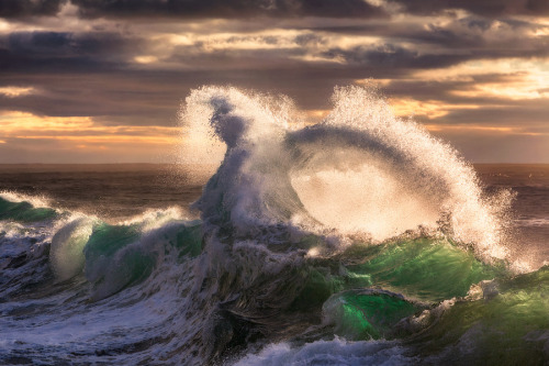 travelbinge:nubbsgalore:photos by giovanni allievi in savona, italy (see also: previous wave posts)S
