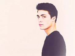 colton haynes things