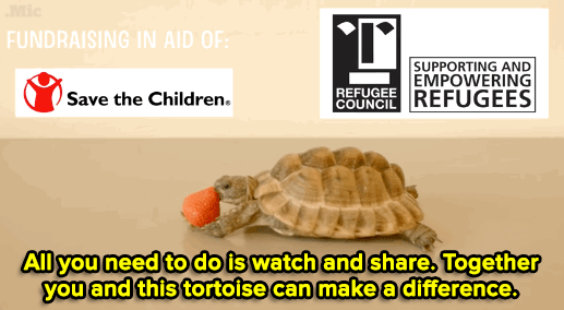 wafflesworld:  micdotcom:  Watch the video and read more about this brilliantly simple