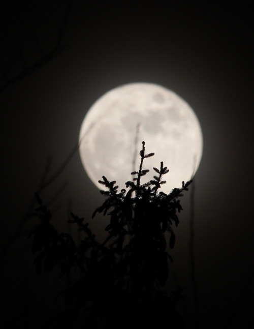 Merry Christmas/ Happy Holidays everyone!So we don’t have any snow but we do have a full moon 