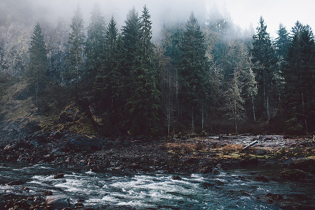 melepeta:  Snoqualmie River by Jared Atkins on Flickr. 