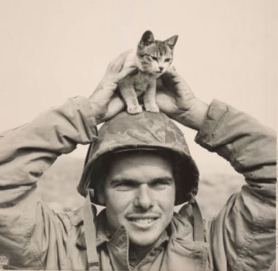 usnatarchives:Marine Cpl. Edward Burckhardt found this kitten at the base of Mount Suribachi, Iwo Ji