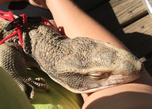 After a day of fun in the sun it&rsquo;s time to take a nap in the swing!