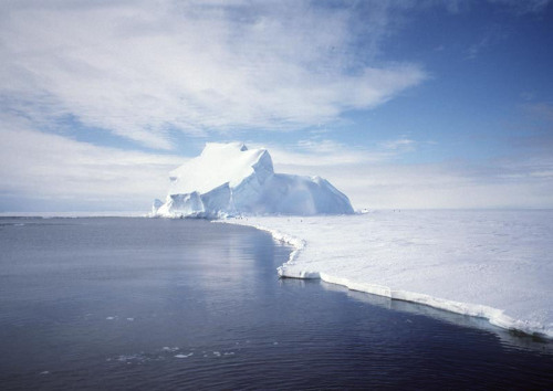 atlasobscura:The Dead Forests of Antarctica  Despite being the most inhospitable place on the plan