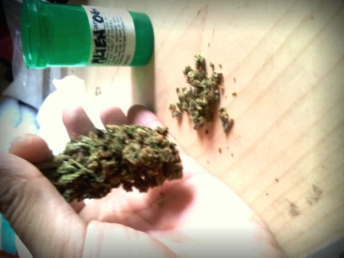 Gotta love the herb.:D