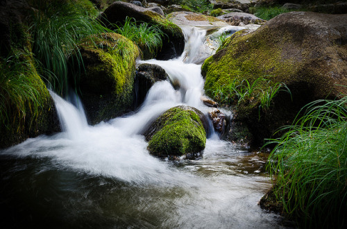 -Aqua- by alfonso maquedano on Flickr.