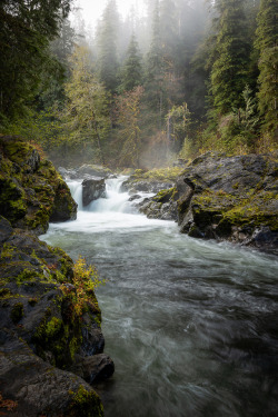 90377:  Sol Duc River in Autumn, Olympic